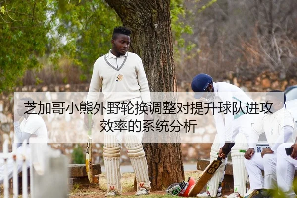 芝加哥小熊外野轮换调整对提升球队进攻效率的系统分析